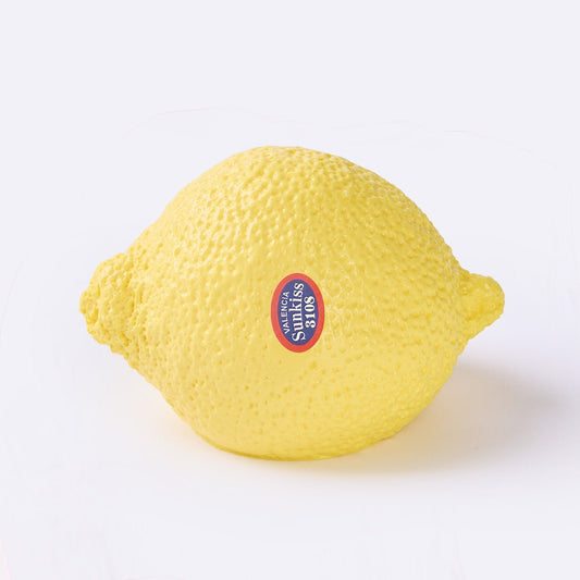 Lemon Taba Squishy