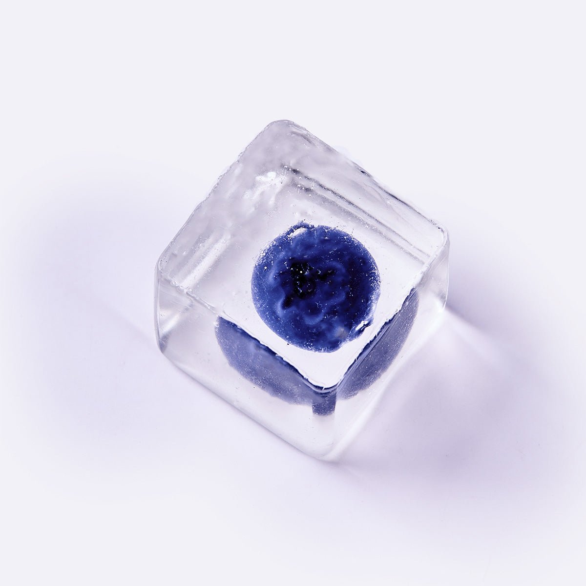 Nested Blueberry Cute Ice Cube Taba Squishy
