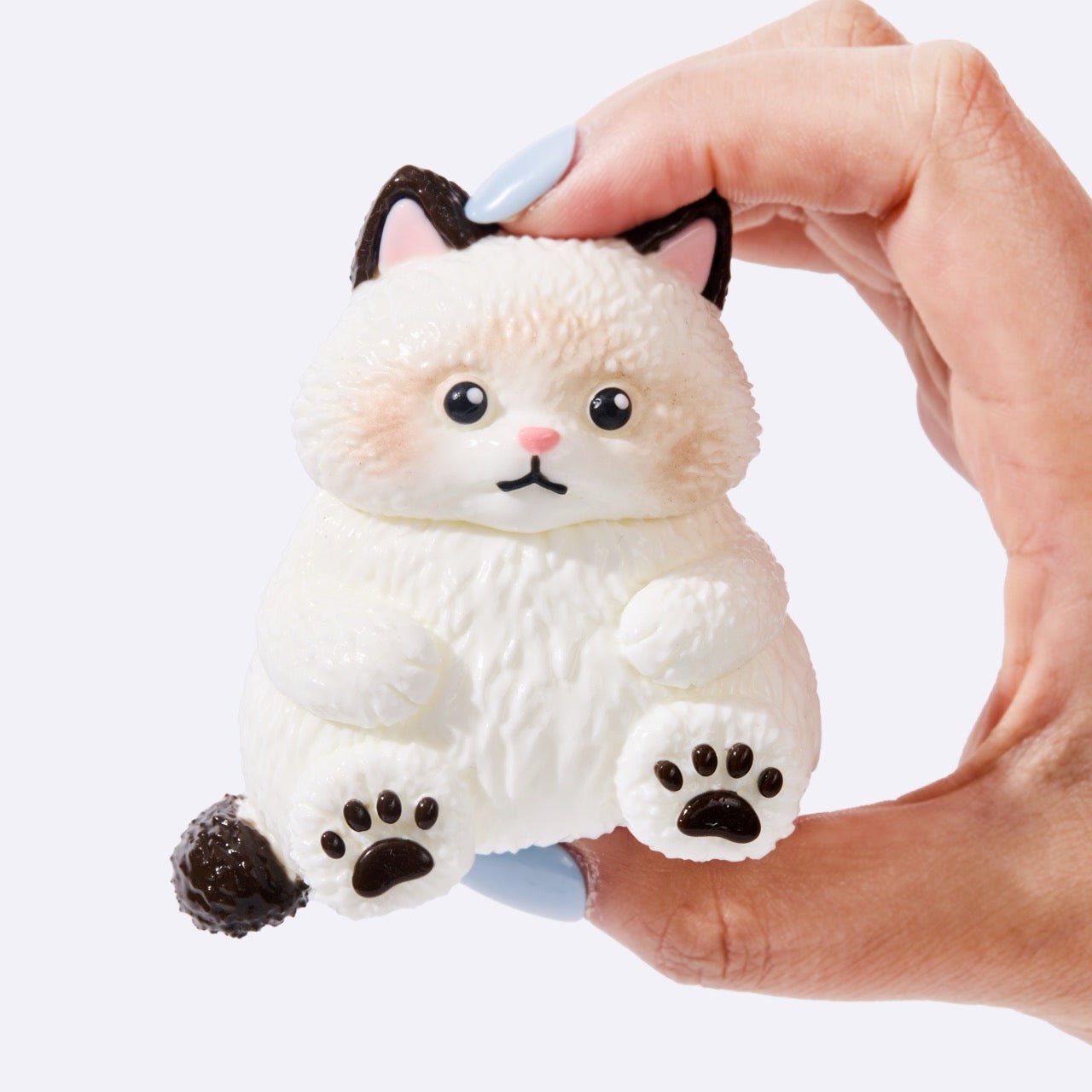 Chubby White Ragdoll Cat