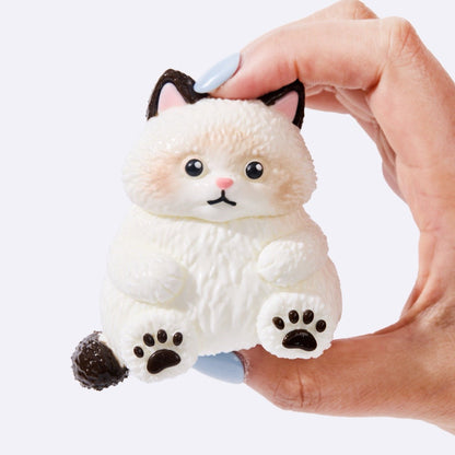Chubby White Ragdoll Cat