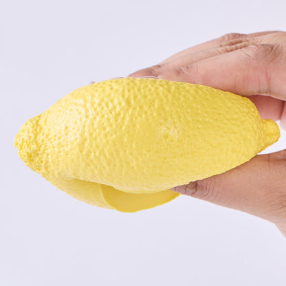 Lemon Taba Squishy
