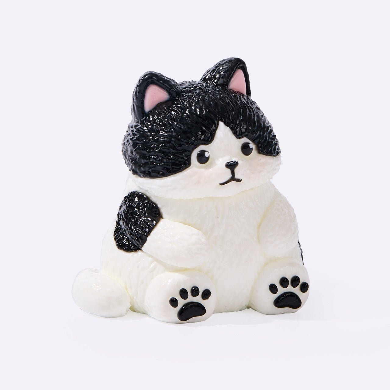 Chubby Tuxedo Cat
