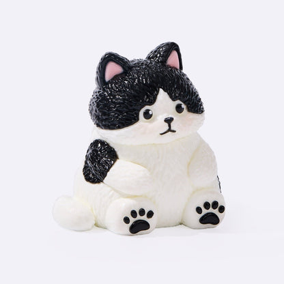 Chubby Tuxedo Cat