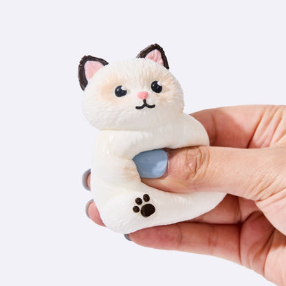 White Siamese Cat
