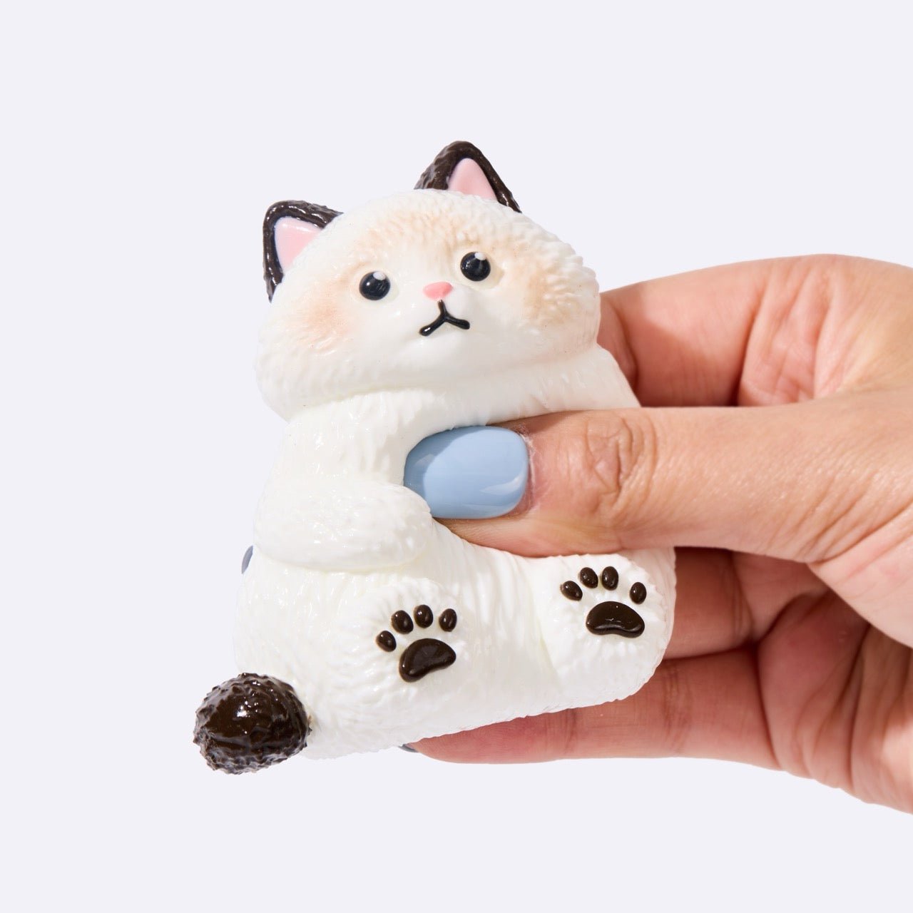 Chubby White Ragdoll Cat