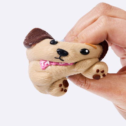 Labrador