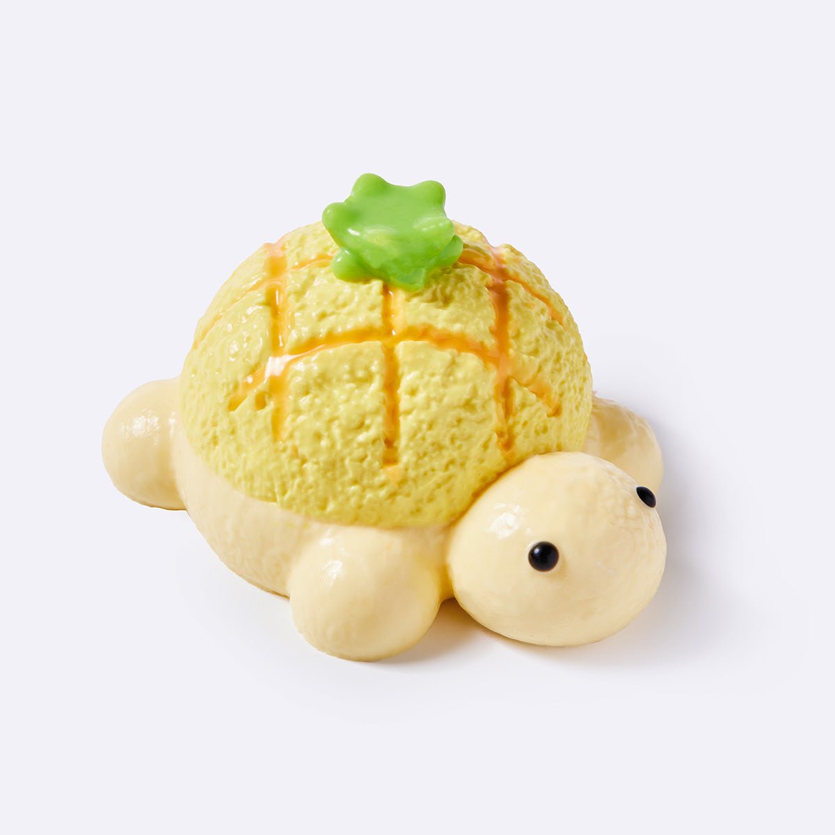 Pineapple Turtle