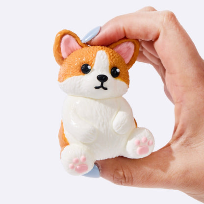 Corgi Squeeze toys