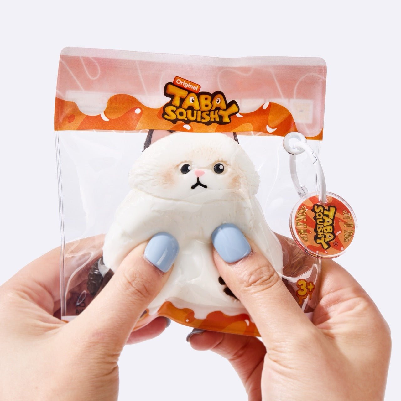 Chubby White Ragdoll Cat