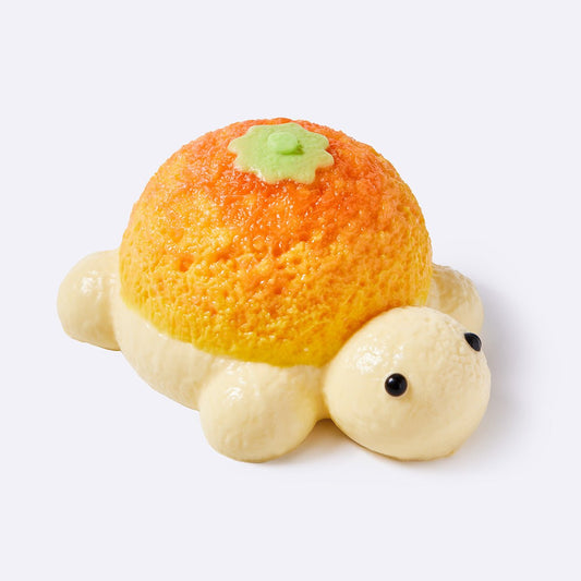 Orange Turtle