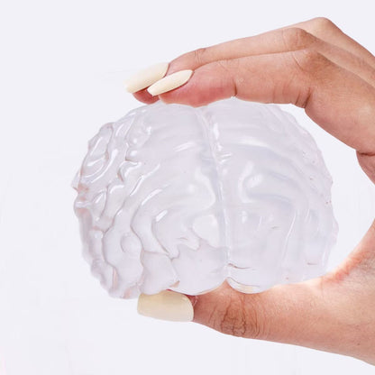 Clear Brain Taba Squishy