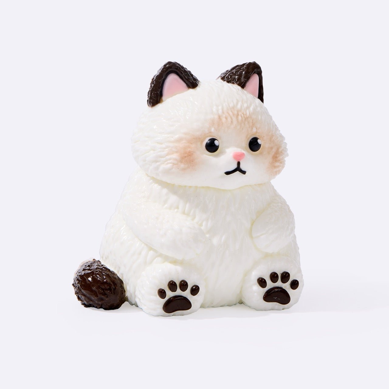 Chubby White Ragdoll Cat