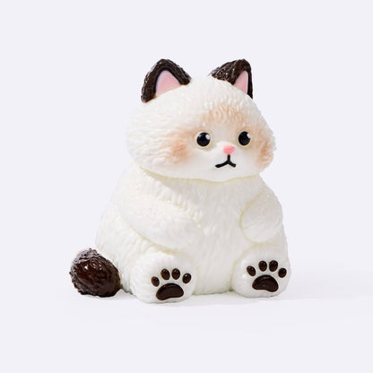 Chubby White Ragdoll Cat