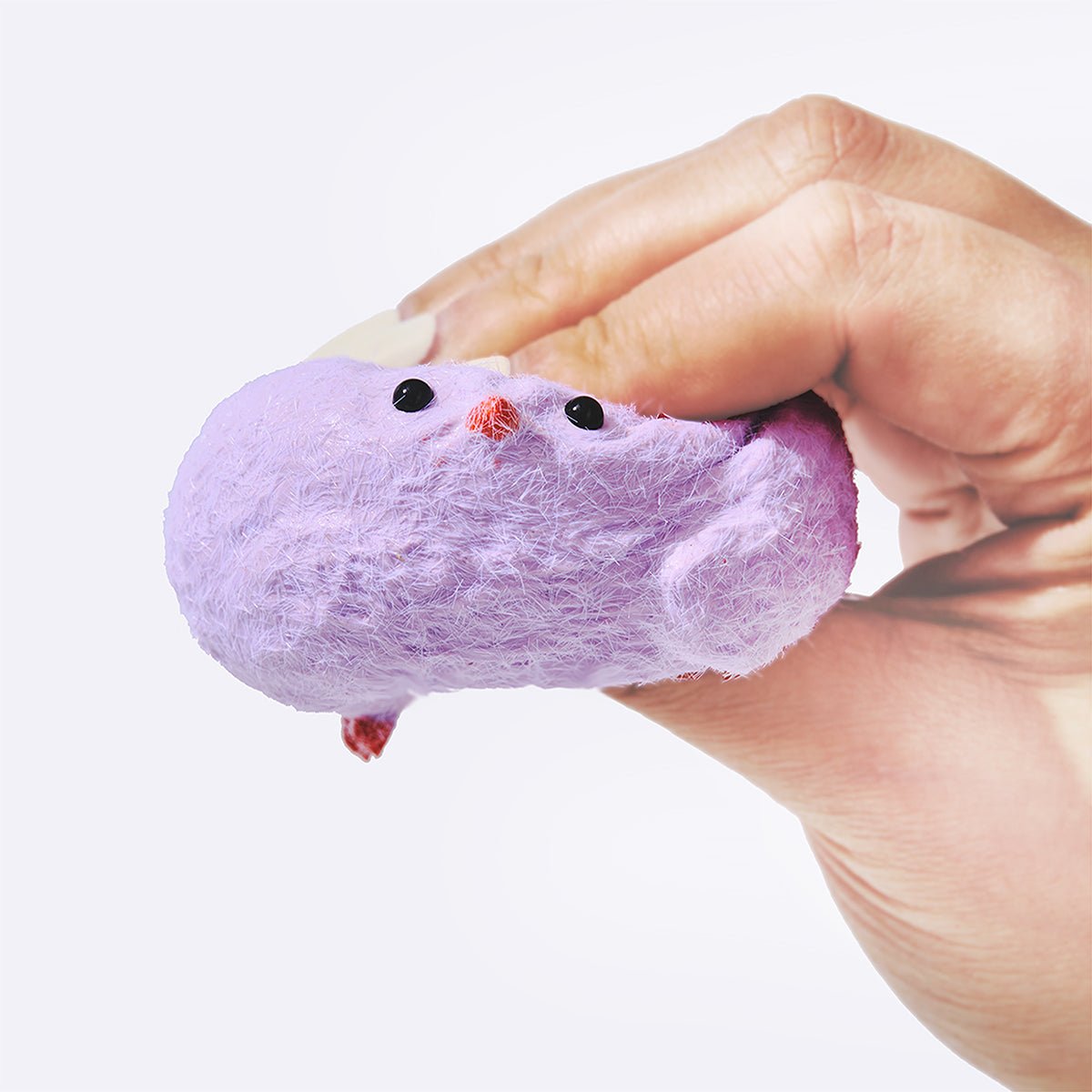 Purple Chick