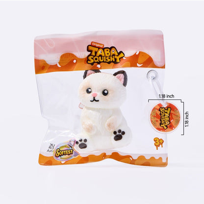 White Siamese Cat
