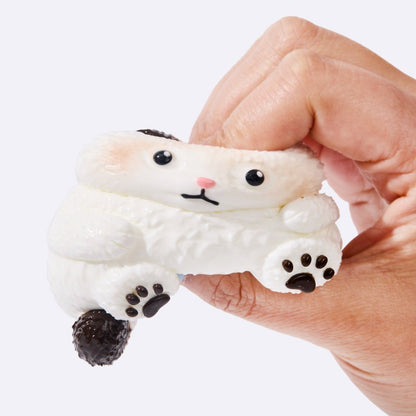 Chubby White Ragdoll Cat