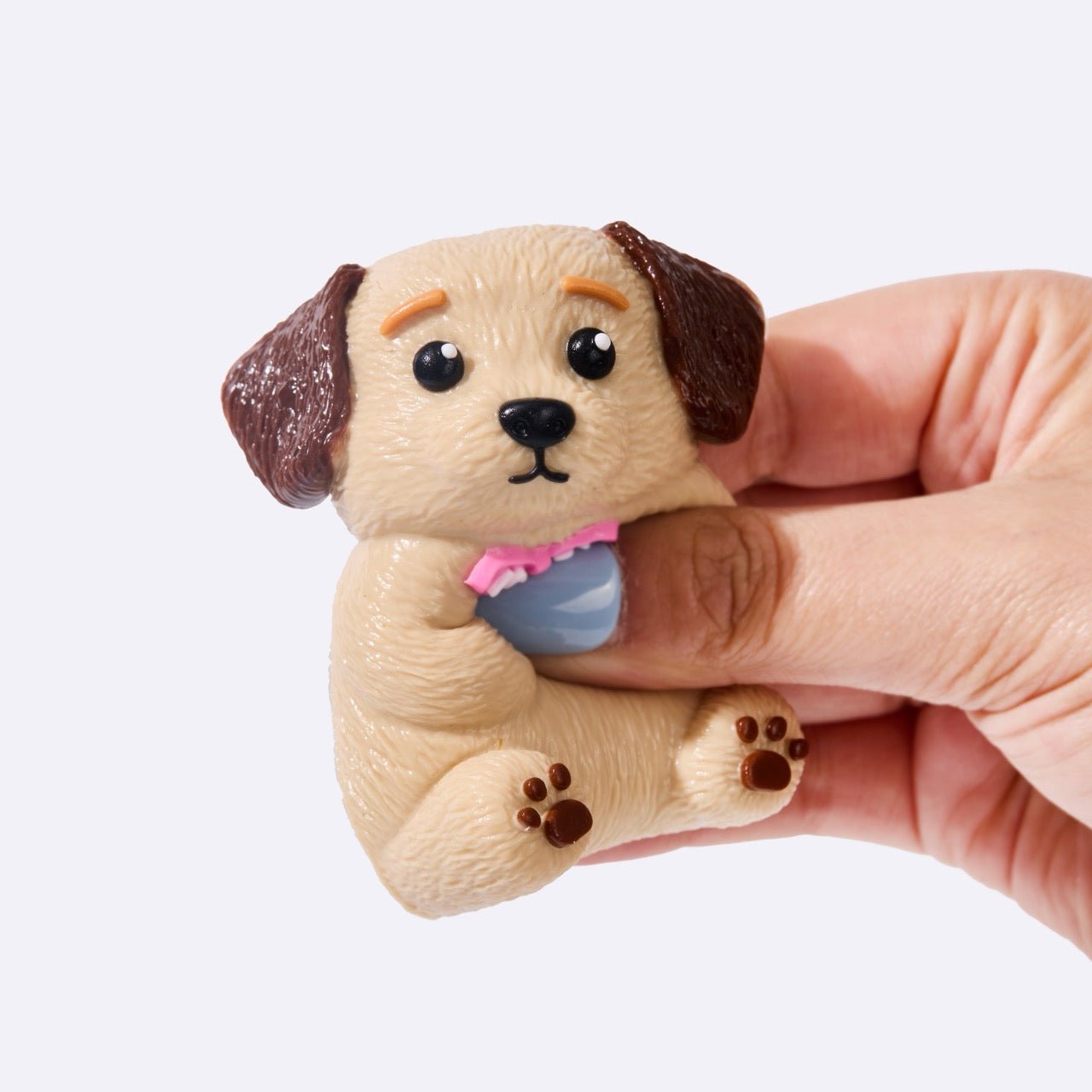Labrador