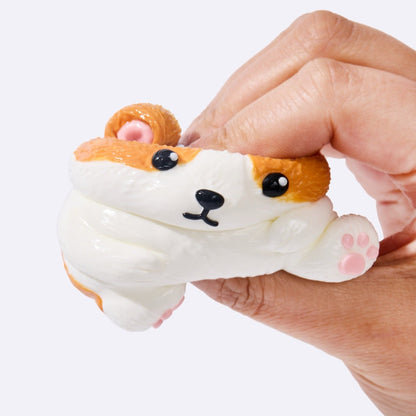 Corgi Squeeze toys