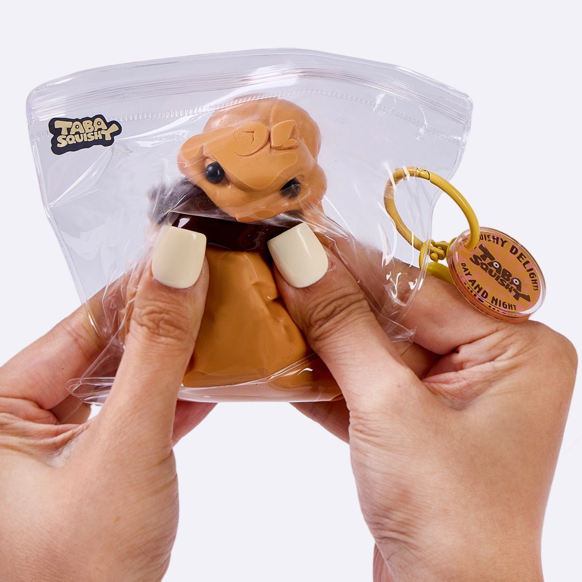 Squirrel with Aacorn Taba Squishy