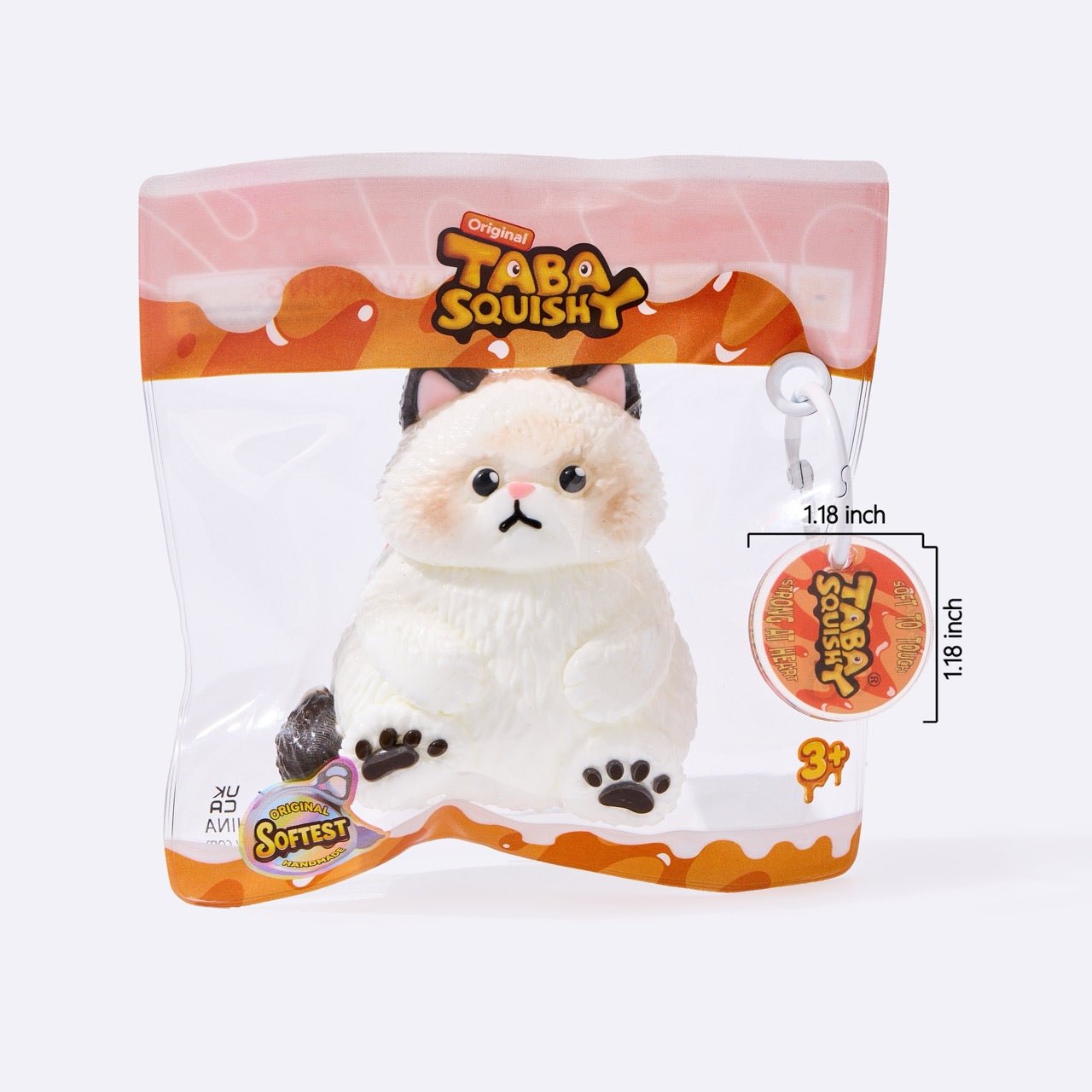 Chubby White Ragdoll Cat