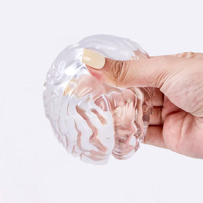 Clear Brain Taba Squishy