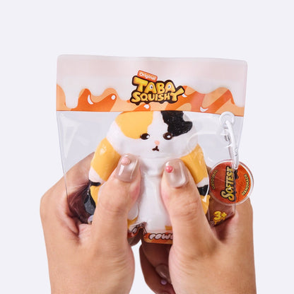 Chubby Calico Cat Taba Squishy