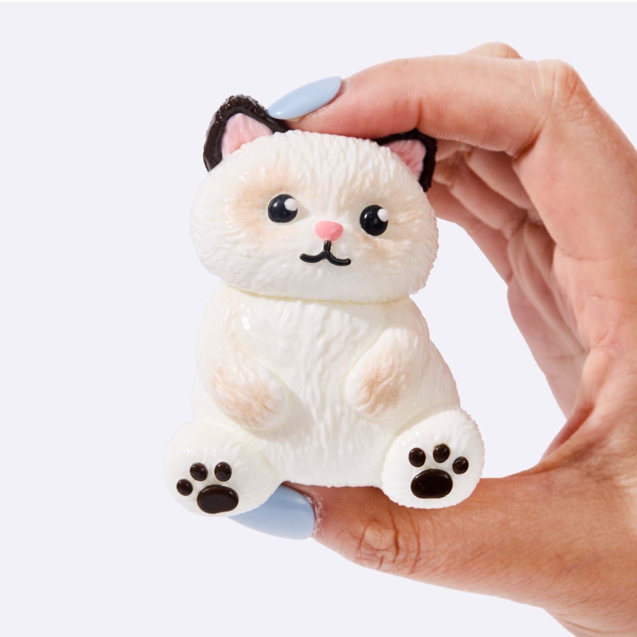 White Siamese Cat