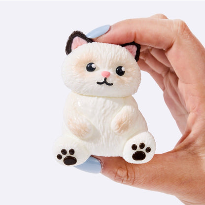 White Siamese Cat