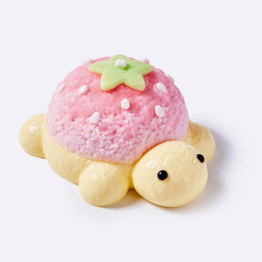Strawberry Turtle
