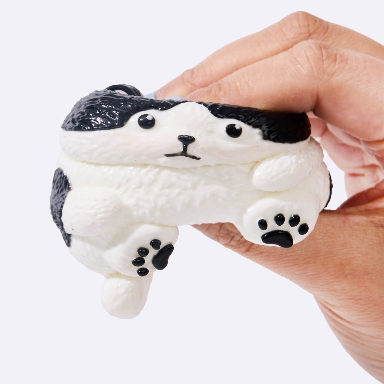 Chubby Tuxedo Cat