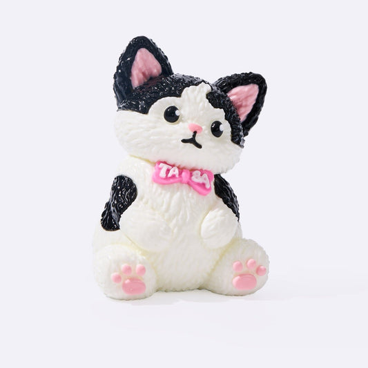 Tuxedo Cat