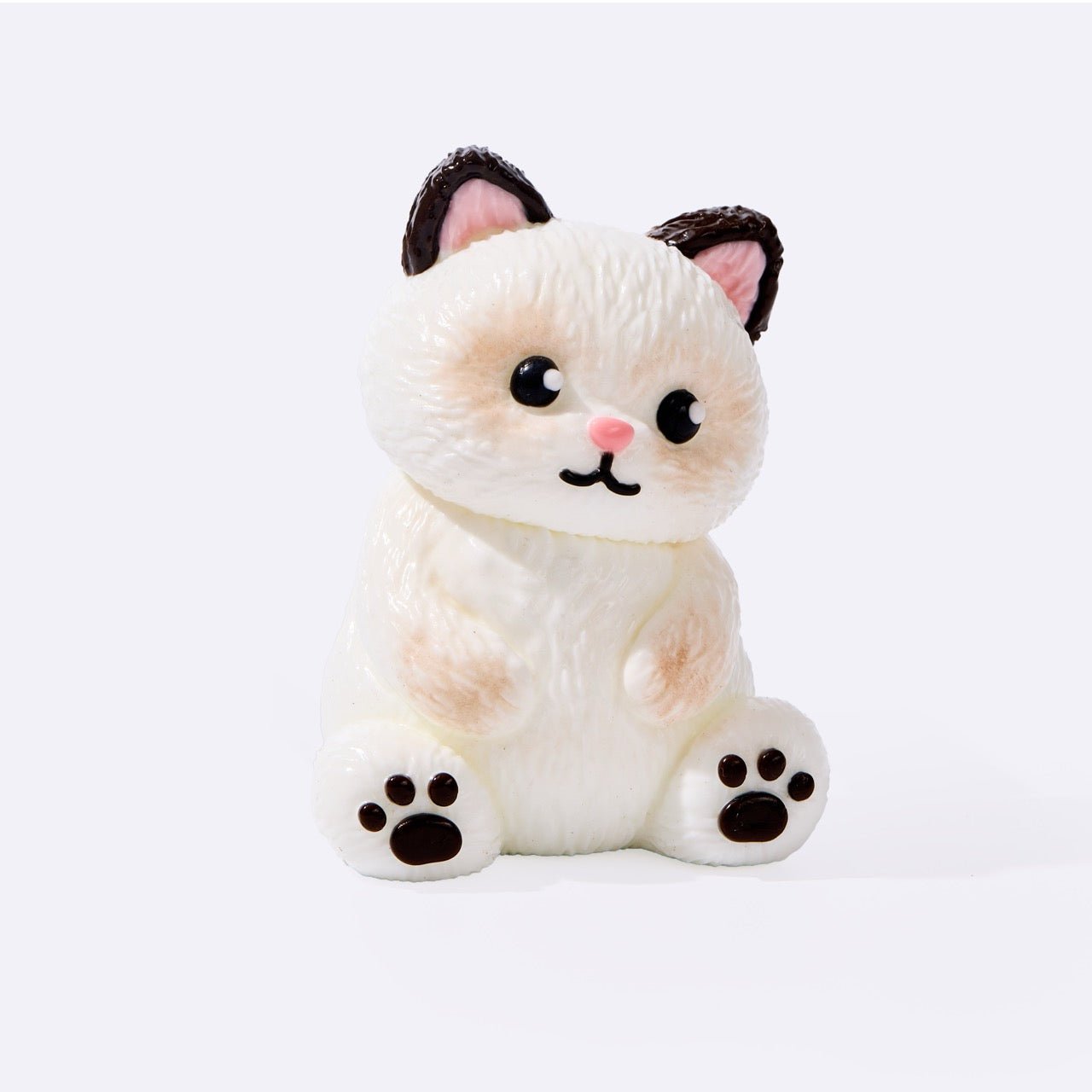 White Siamese Cat