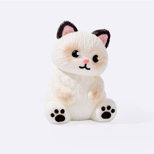 White Siamese Cat